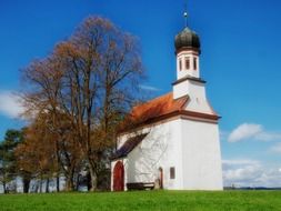 trees at white church building with steeple