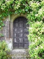 closed arched door in medieval wall