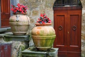 pots with red flowers at vintage door, italy