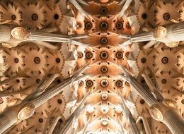 fragment of ceiling in sagrada familia temple, spain, barcelona