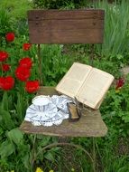 vintage still life, open book and glasses on old chair in garden