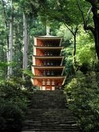 five-storey pagoda in forest, japan