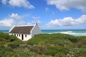 idyllic view of small village building on green coast at blue sea, south africa, De Hoop