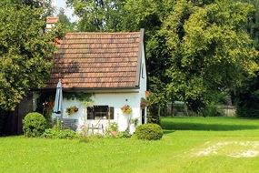 small cottage with tile roof in garden