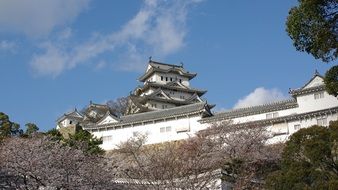 roof of Himeji Castle above trees, japan