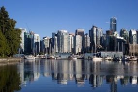 skyline city yachts cityscape water reflection