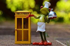 toy frog cook at phone booth, food order by phone