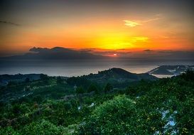 citrus trees on mountain at sea in scenic sunset landscape, japan, kumamoto