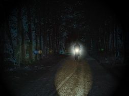 cyclist on road in night park