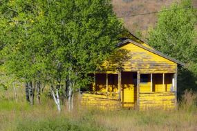 old abandoned yellow wooden shed building, canada, chilcotin