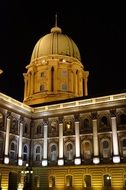 buda castle in budapest at night