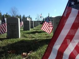 american flags at gravestones on soldier cemetery