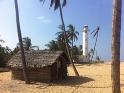 tropical landscape, hut on beach beneath palm trees and lighthouse, sri lanka, oluvil