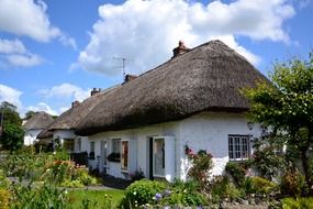 blooming plants at old village houses with reed roofs, uk, ireland