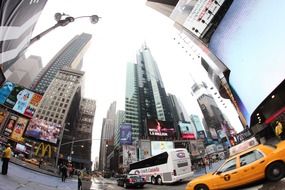 New York city fish eye