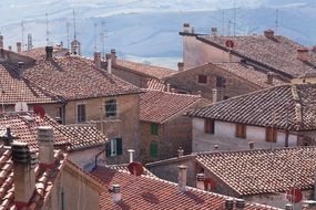 clay tile roofs of old village, italy, tuscany