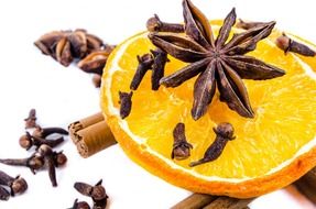 colorful spices at white background