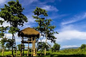 wooden watch tower in picturesque wilderness