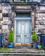 potted plants at doorway of old house