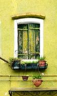 green window home balcony plants in pots