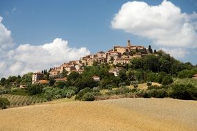 fields and gardens at old village on hill, italy, tuscany