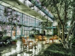 tables and chairs beneath trees in arboretum, usa, utah, salt lake city