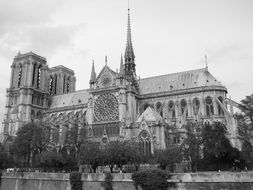 notre dame cathedral, black and white, france, paris