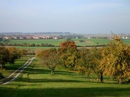 fruit trees in orchard, autumn countryside, germany, baden württemberg