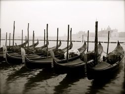 gondolas in row at pier, italy, venice