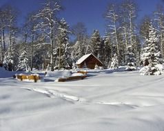 wooden ranch building at snowy forest