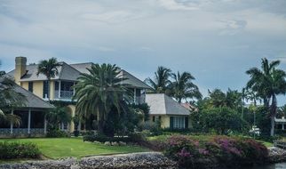 villas among palm trees under cloudy sky, usa, florida