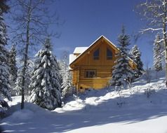 log house on hill side in forest at winter