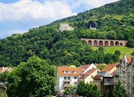 castle on green forested mountain side above old town, germany, heidelberg