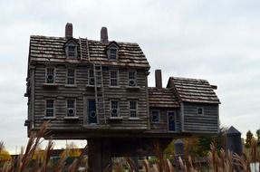 bird house in form of miniature wooden building