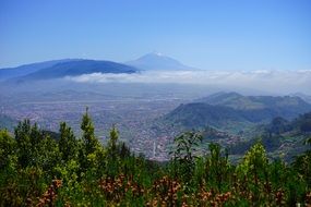 Magnificent city from Mountain tenerife Panorama