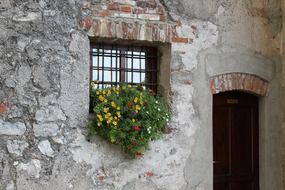 potted flowers on facade at monastery window, switzerland