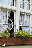 floral decoration at window of old farmhouse