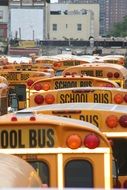 orange roofs of school buses on street in city, usa, new york