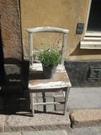 pot with herbs on shabby chair at facade, decoration