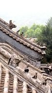 Imperial roof decoration of ancient chinese building