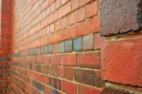 red bricks in rows, wall perspective