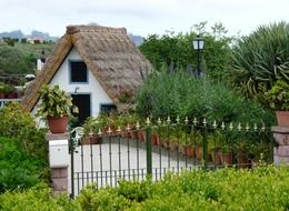 beautiful village house with thatched roof in garden, portugal, madeira