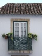 window with potted plants on balcony of old house