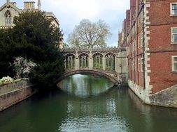 beautiful covered Bridge of Sighs at St John's College, uk, england, Cambridge University