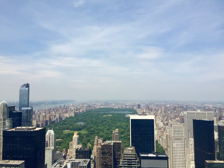 central park in top view of city, usa, manhattan, nyc