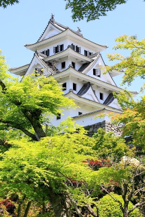 castle of the Japanese style among the trees