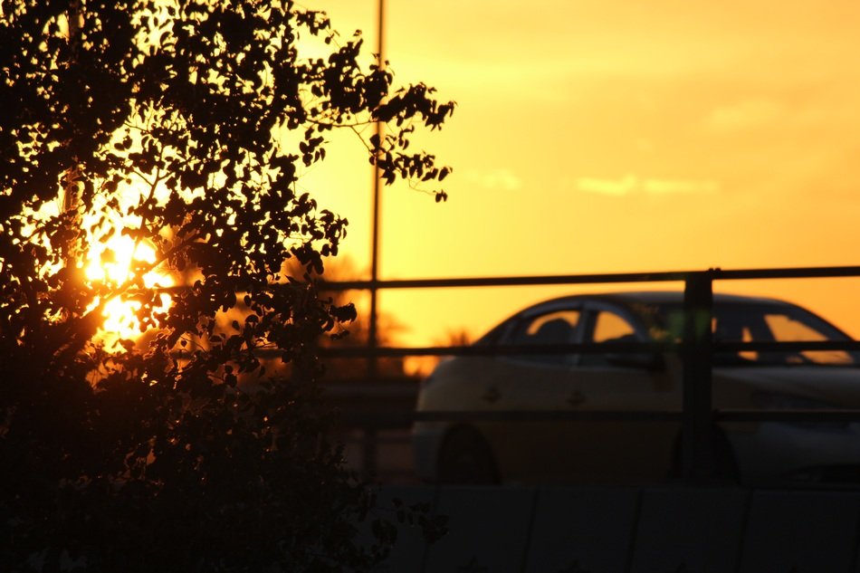 silhouette of a car on the bridge at sunset