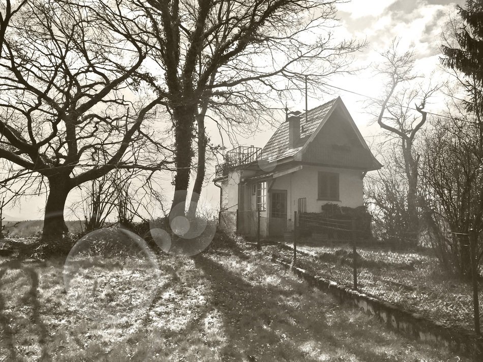 small village house on hillside, germany, tubingen