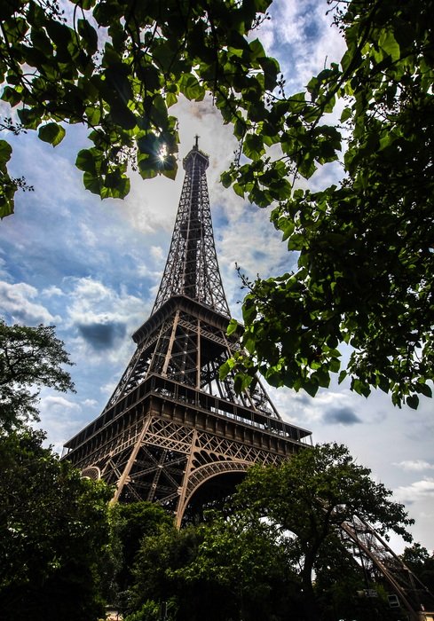 eiffel tower through foliage, france, paris
