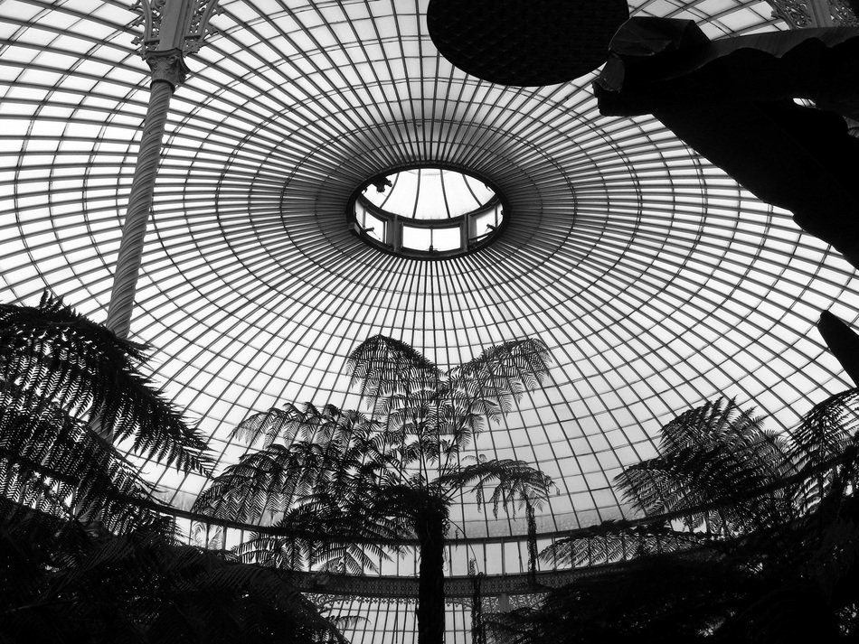 round glass ceiling of greenhouse